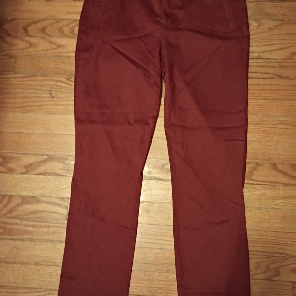 Level 99 Women's Rust Pants